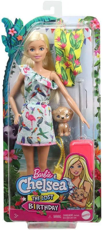 Barbie Birthday Surprise Sister & Pet Accessories Assortment