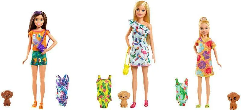 Barbie Birthday Surprise Sister & Pet Accessories Assortment