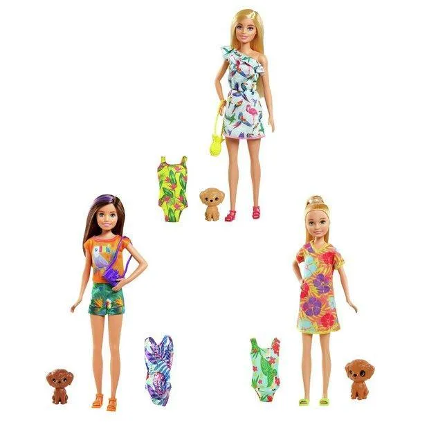 Barbie Birthday Surprise Sister & Pet Accessories Assortment