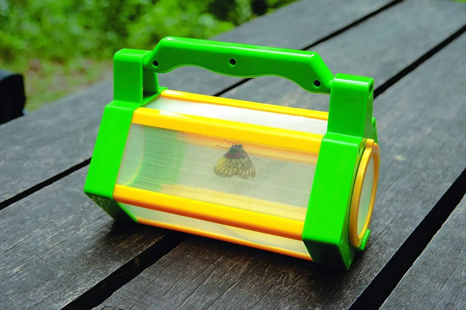 BUIKI France - Insects Explorer Kit