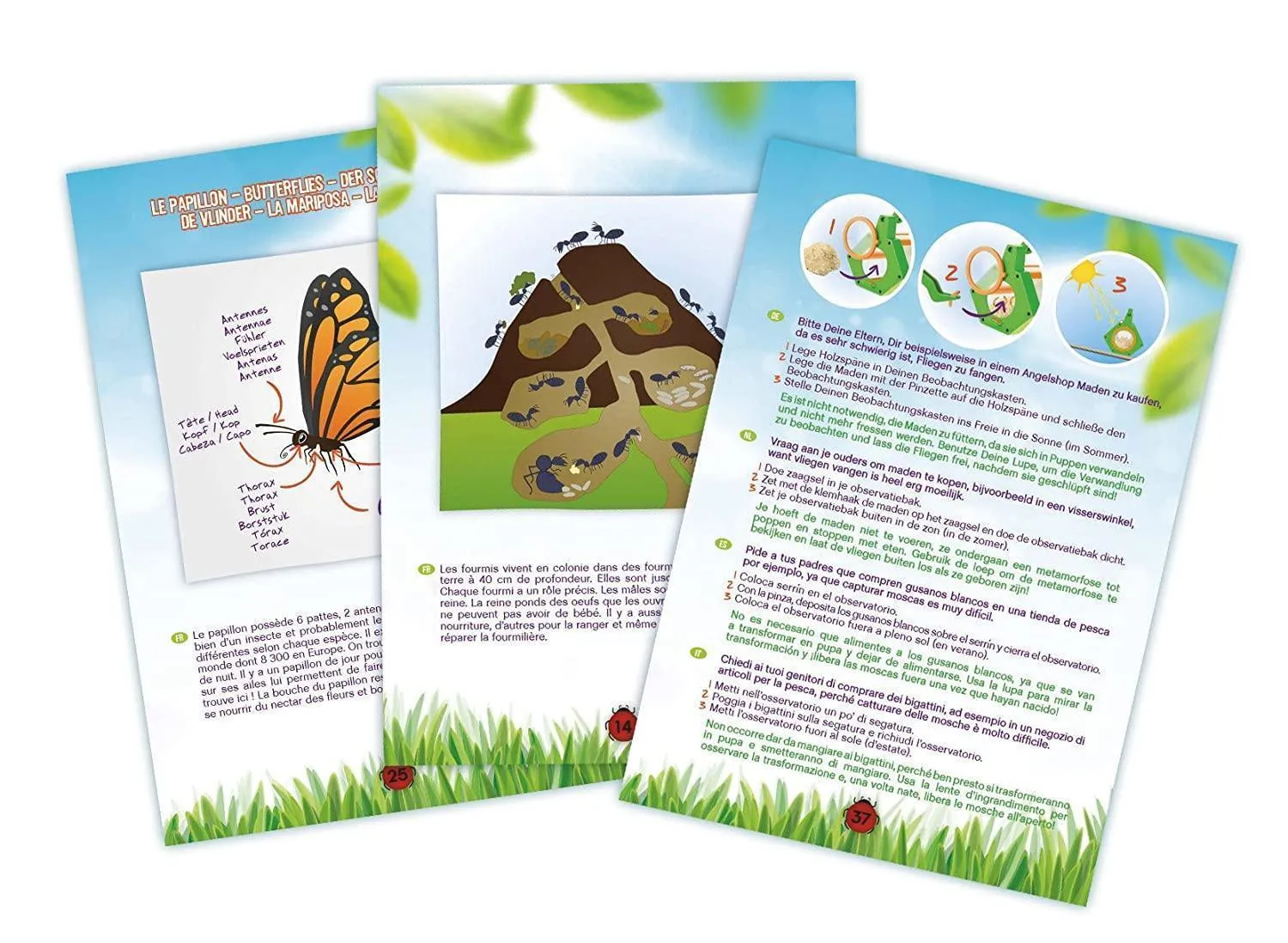 BUIKI France - Insects Explorer Kit