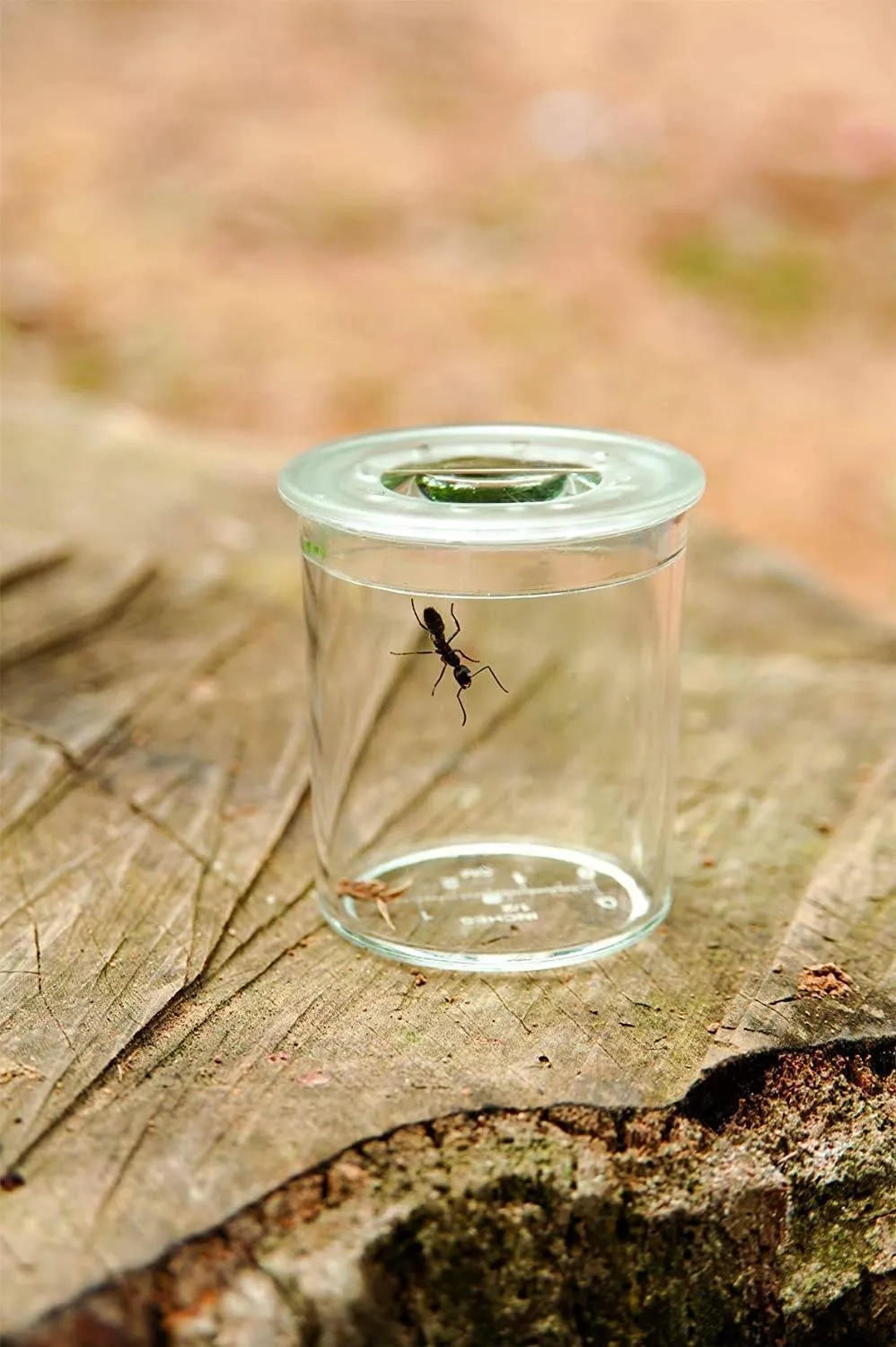 BUIKI France - Insects Explorer Kit