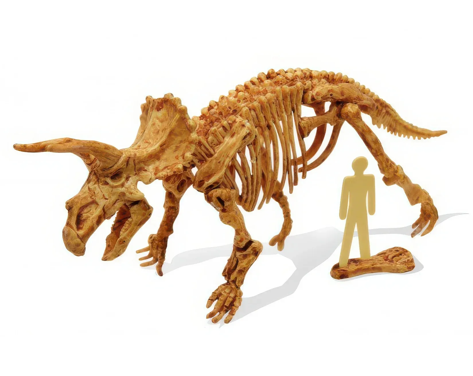 BUKI France Dino Kit Triceratops Dinosaur Fossil Digging Set