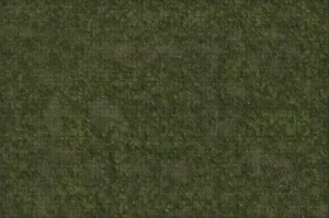 D&D Icons of the Realms Grasslands Battle Mat