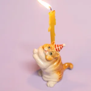 EXOTIC SHORTHAIR CAT CAKE TOPPER
