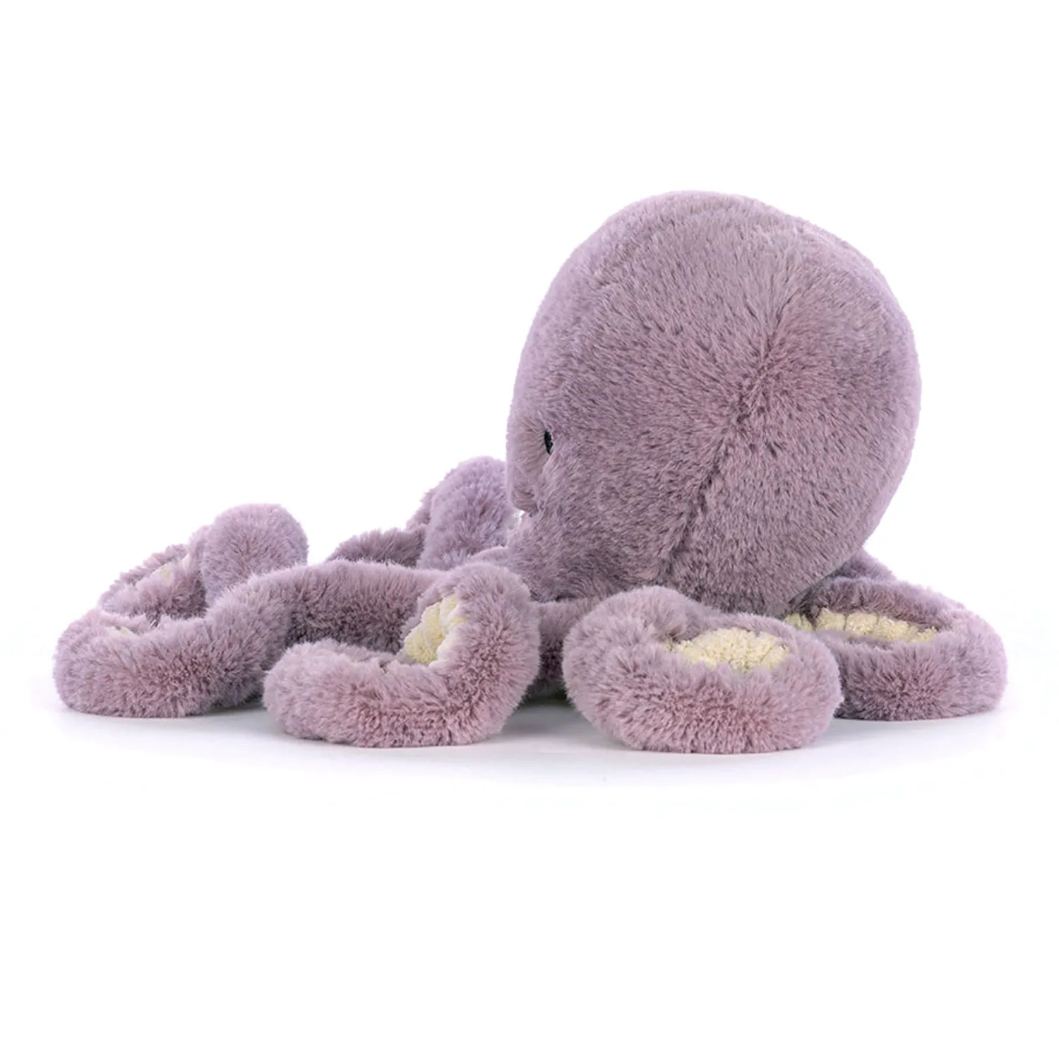 Maya Octopus