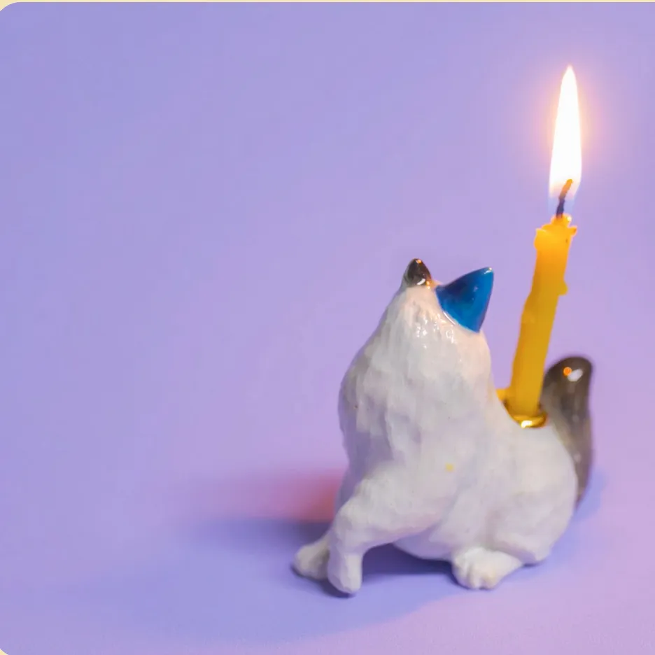 RAGDOLL CAT CAKE TOPPER