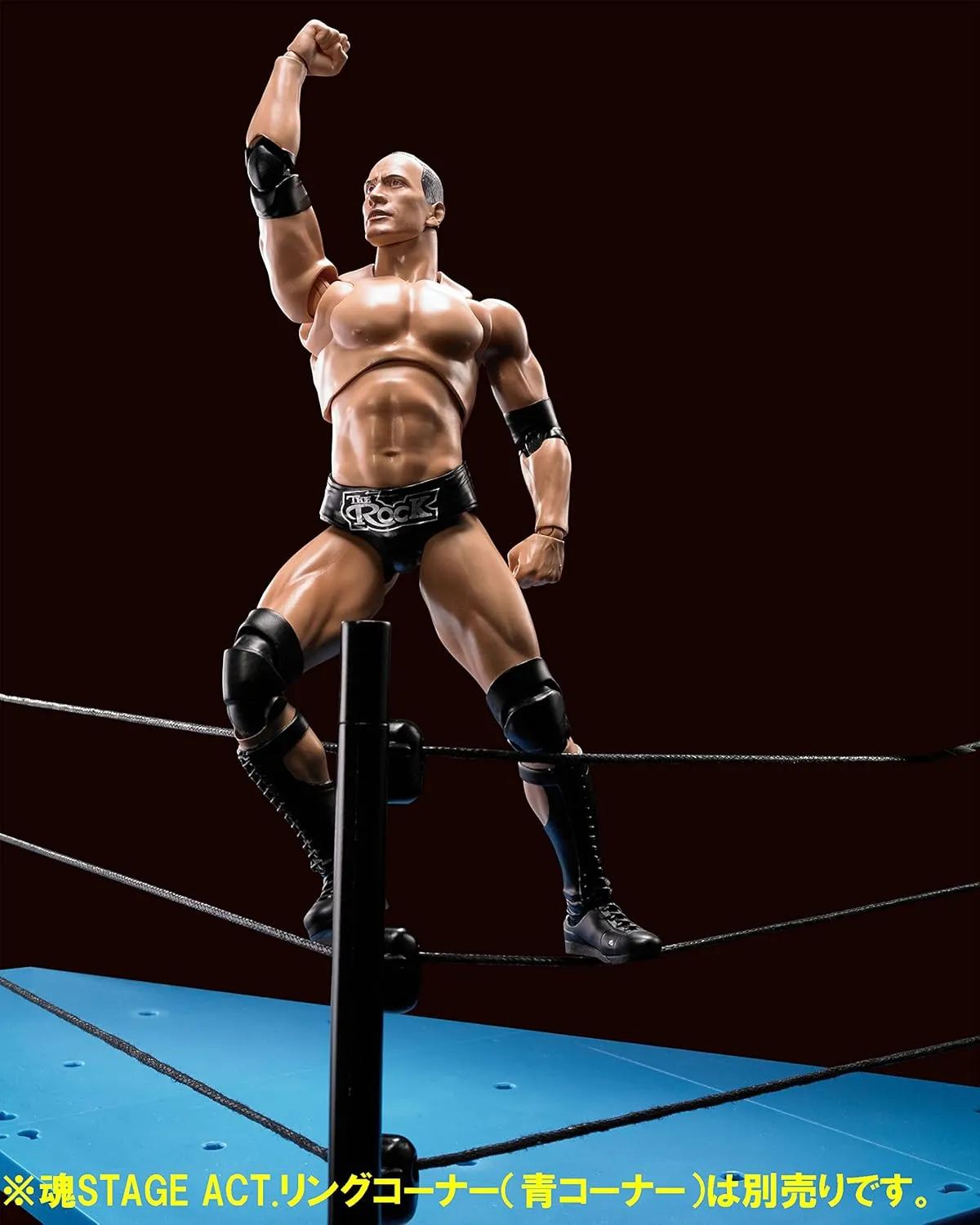 TAMASHII NATIONS WWE The Rock S.H.Figuarts Action Figure - Fully Articulated Collectible for Ages 14 