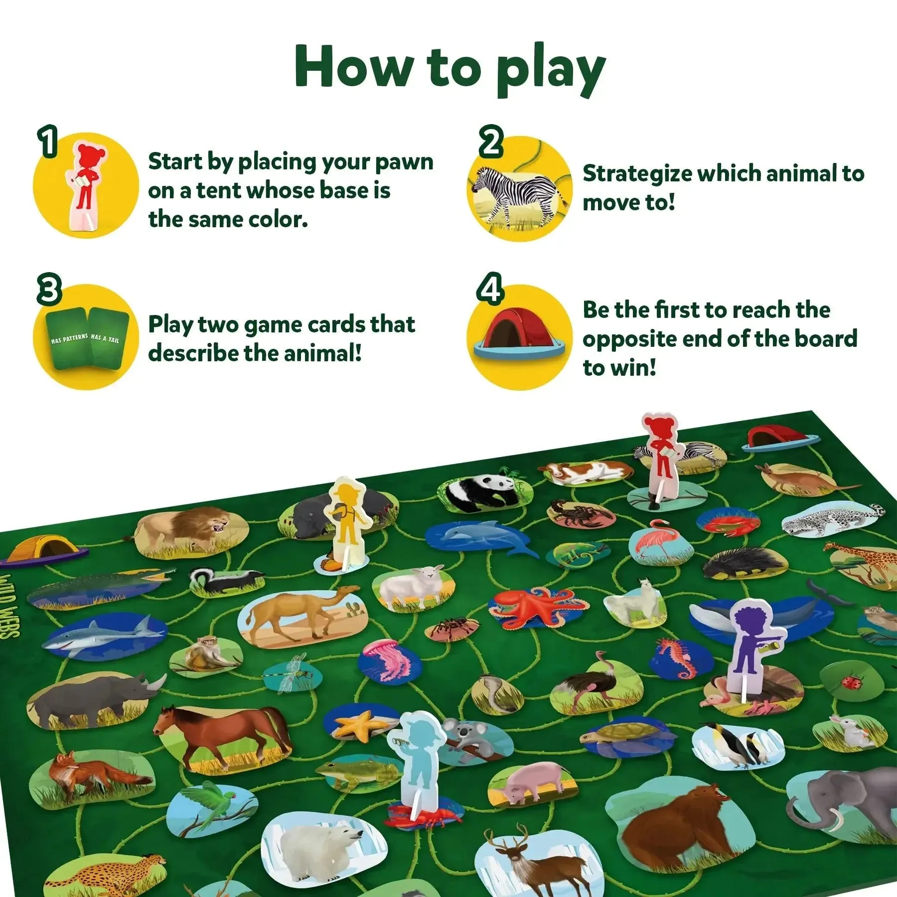 Wild Webs Card Game